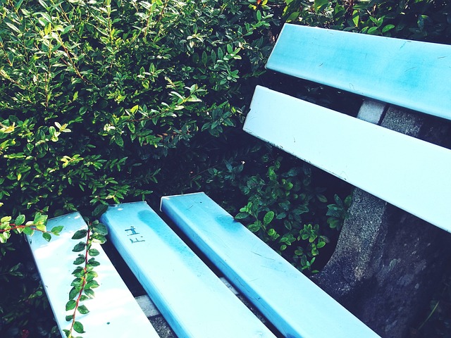 临众多选择 临众多选择