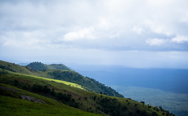 崇尚集体作 崇尚集体作