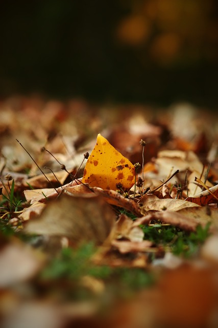 樣強大的對 樣強大的對