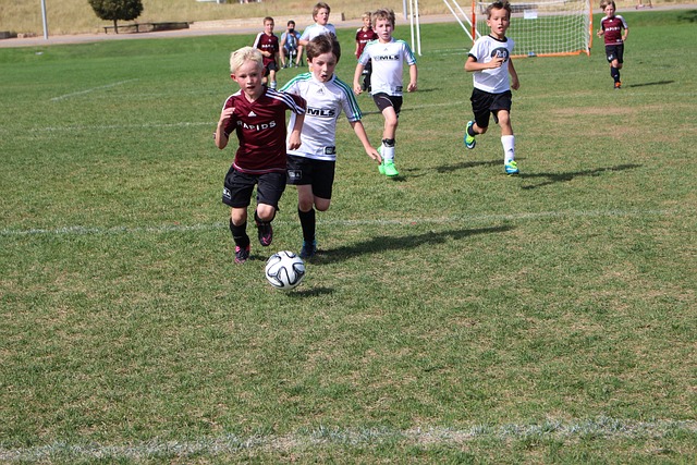 作品初评公 作品初评公