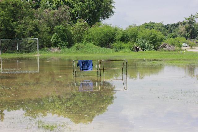 证明自我 证明自我