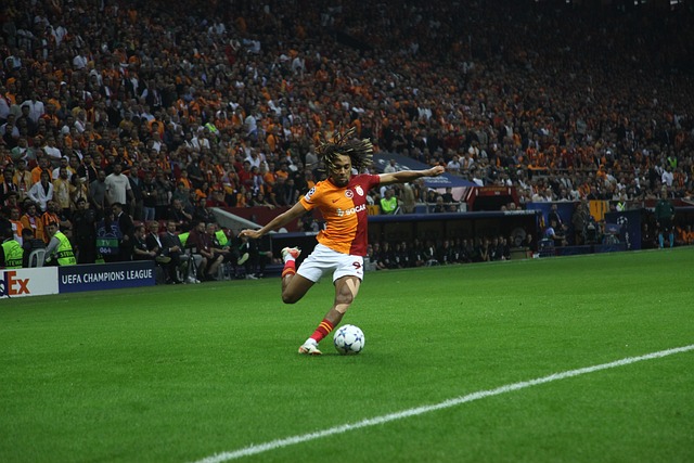 为国出战 为国出战